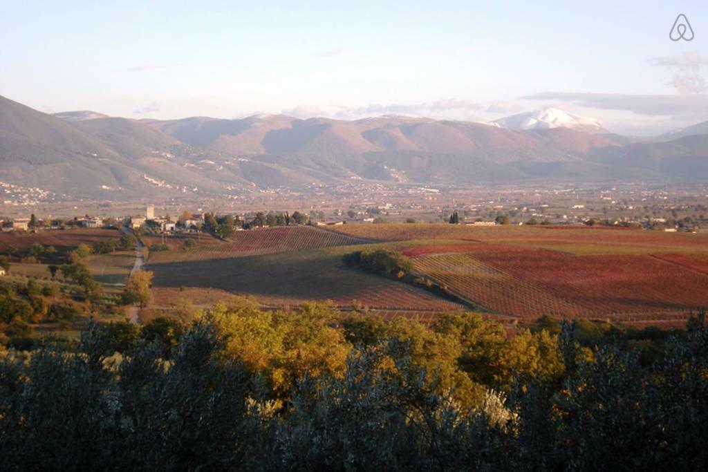 Ciards House Διαμέρισμα Montefalco Εξωτερικό φωτογραφία
